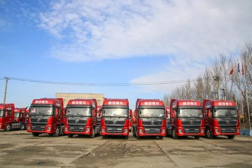 駿博與駿和 以點(diǎn)帶面，實(shí)現(xiàn)銷量與服務(wù)雙提升的卡車銷售新典范